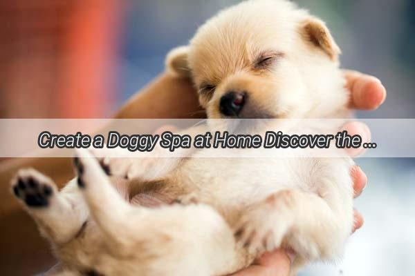 Create a Doggy Spa at Home Discover the Secret to Homemade Dog Shampoo